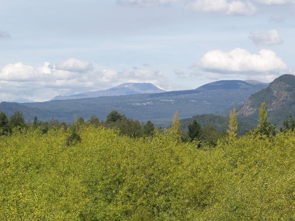 Complejo Buenavista Pucon Apartment Cameră foto